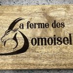 Visite à la chèvrerie “Les Domoiselles”